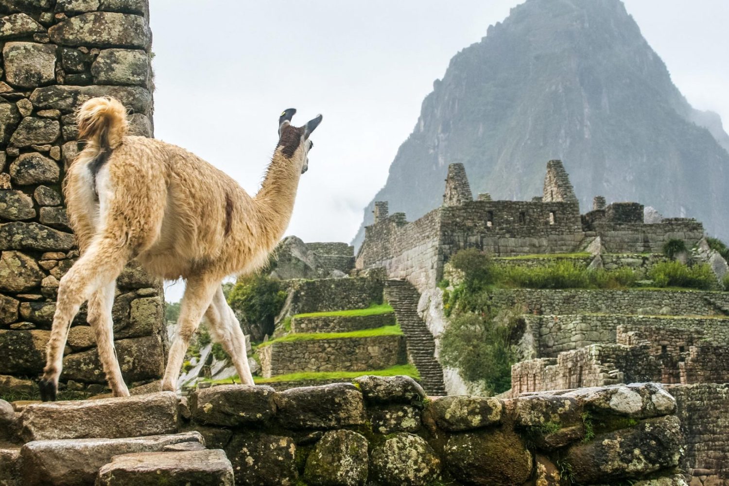 Classic Inca Trail