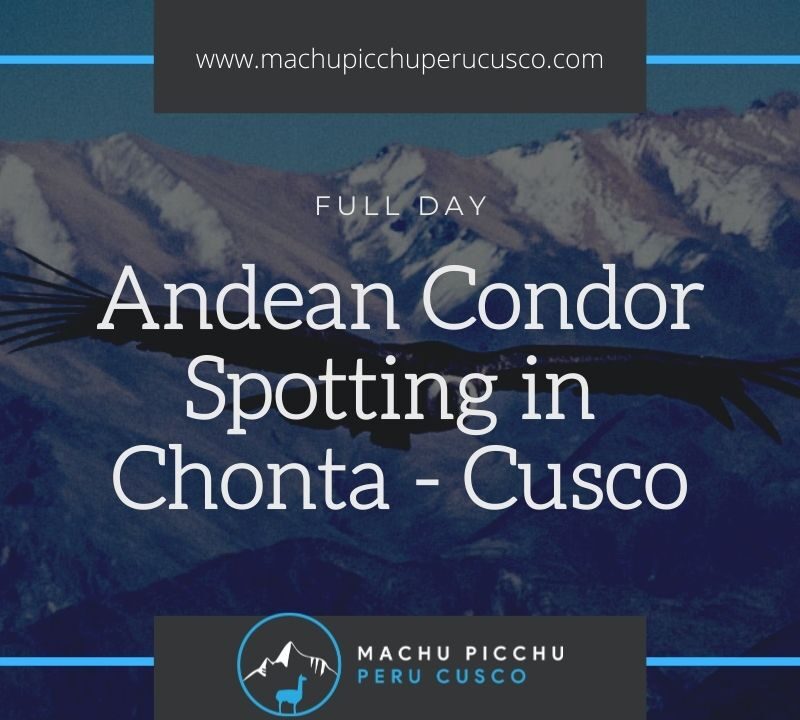 Condor Spotting Tour in Chonta Cusco