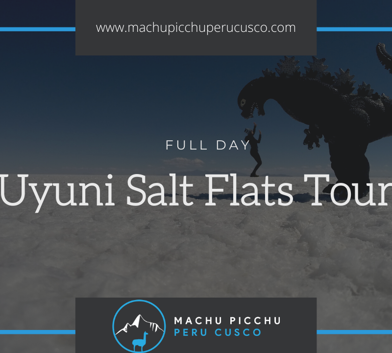 Uyuni Salt Flats Tour - Salar de Uyuni Tours